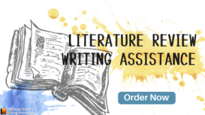 Best Literature Review Writers